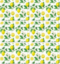 Lemon Placemats Set of 6 Summer Plastic Table Mats Yellow Lemonade Theme Place Mats Washable Vinyl Rustic Holiday Table Decoration for Indoor Outdoor Party Kitchen Dining