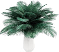 THARAHT Blackish Green Ostrich Feathers 24pcs Natural Bulk 8-10Inch 20cm-25cm for Crafts Wedding Party Centerpieces Mardi Gras Decoration Feather