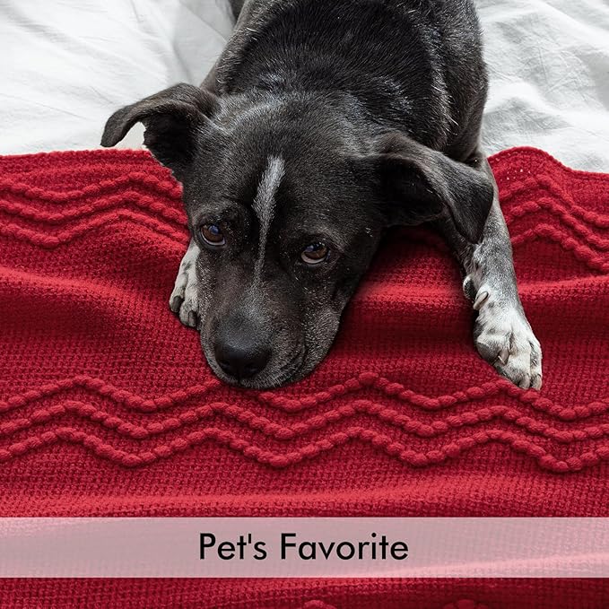 MIULEE Burgundy Red Knitted Throw Blanket for Couch Boho Textured Cozy Woven Blanket with Tassels for Sofa Chair Bed Living Room Acrylic Wave Pattern 60"x80"