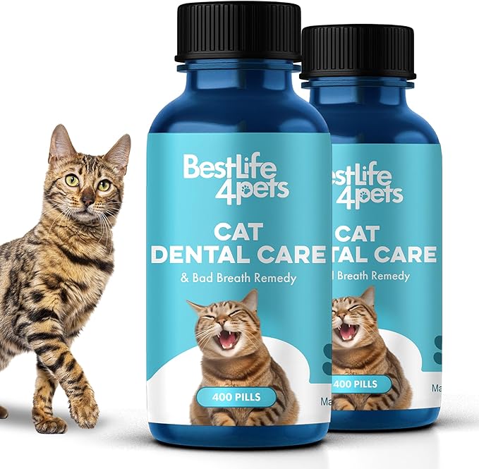 Cat Bad Breath & Oral Health Remedy, Natural Dental Care Cats Teeth, Mouth and Gums, Easy to Use Daily Supplement for Stomatitis, Gingivitis, Plaque & Tartar Control for Cats, 800 Small Pills