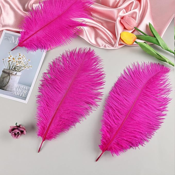 THARAHT Hot Pink Ostrich Feathers 12pcs Natural Bulk 10-12Inch 25cm-30cm for Crafts Wedding Party Centerpieces Easter Gatsbi and Home Decoration Feathers