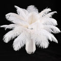 THARAHT White Ostrich Feathers 12pcs Natural Bulk 8-10Inch 20cm-25cm for Crafts Wedding Party Centerpieces Christmas Tree Decoration Feathers