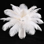 THARAHT White Ostrich Feathers 12pcs Natural Bulk 8-10Inch 20cm-25cm for Crafts Wedding Party Centerpieces Christmas Tree Decoration Feathers