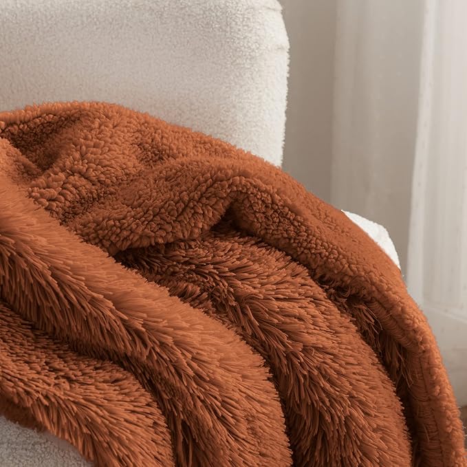 Bedsure GentleSoft Fluffy Burnt Orange Throw Blanket Fall Decorations for Home, Terracotta Blanket Fall Decor for Living Room, Soft Sherpa Fleece Fuzzy Faux Fur Plush Orange Gifts for Women, 50x60