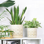 8 Inch + 6 Inch Indoor Plant Pot with Drainage Holes and Saucers, Ceramic Planter for Plants, Succulent Orchid Flower Pots