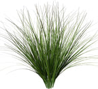 8PCS 17.3" Fake Plants Artificial Wheat Grass Greenery Plastic Plants Fake Grass Artificial Plants for Outdoor Decor Artificial Flower with Greenery Stems for Indoor Home Decoration