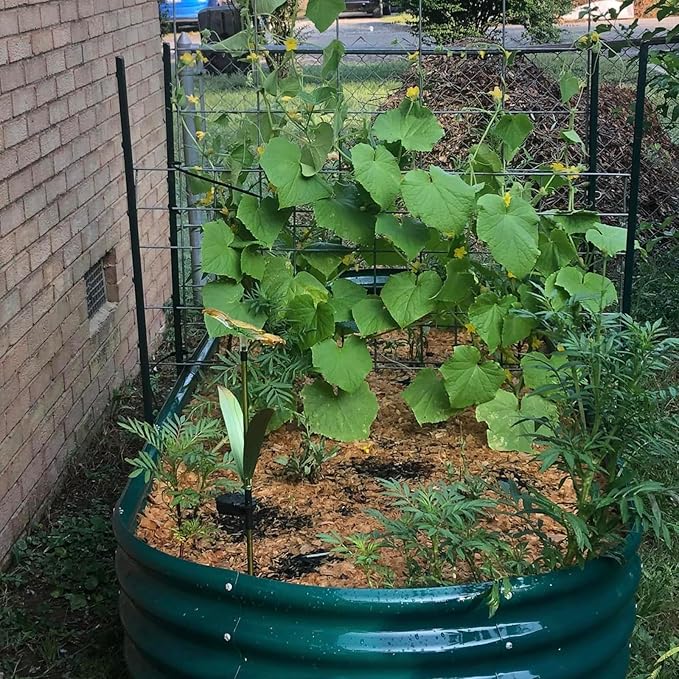 2 Pack 8x4x1FT Galvanized Raised Garden Bed Kit Oval Metal Ground Planter Box Outdoor Bottomless Planter Raised Beds for Vegetables Flowers Herbs Fruits, Green