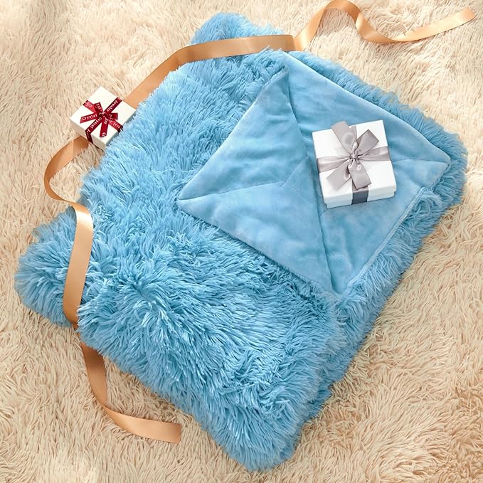 GONAAP Fuzzy Faux Fur Throw Blanket Twin Size Sky Blue Super Soft Cozy Plush Fuzzy Shaggy Blanket for Couch Sofa Bed (Sky Blue, Twin(60"x80"))