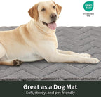 Stiio Dirt Trapper Door Mat 32x47 Inches, Front Doormat Indoor Outdoor Entrance Low Pile, All-Season, All-Weather Absorbent Entry Rug, Washable Non Slip Rug for Entryway, Grey
