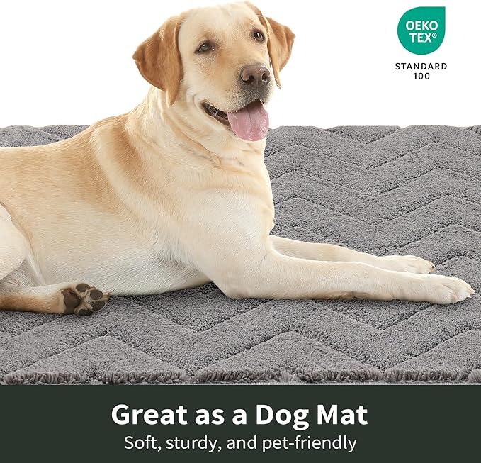 Stiio Dirt Trapper Door Mat 32x47 Inches, Front Doormat Indoor Outdoor Entrance Low Pile, All-Season, All-Weather Absorbent Entry Rug, Washable Non Slip Rug for Entryway, Grey