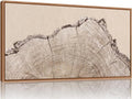 SIGNINART Large Tree Ring Framed Canvas Wall Art, Rustic Beige Wooden Wall Decor, Neutral Nature Wood Stump Artwork, Modern Art Prints for Bedroom Living Room Office 20"x40"