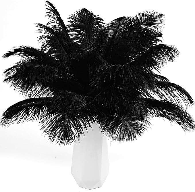 THARAHT Black Ostrich Feathers 12pcs Natural Bulk 8-10Inch 20cm-25cm for Crafts Wedding Party Centerpieces Halloween and Home Decoration Feathers