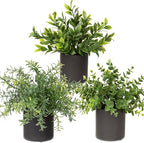 3 Pack Small Fake Plants for Shelf Decor Accents with Ceramic Pot Artificial Potted Plants for Rustic Farmhouse Decor Faux Plants Indoor Fake Potted Plants Artificial for Home Office Bookshelf Decor