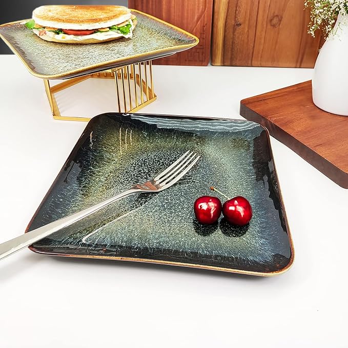 Ceramic Dinner Plates Dish Set, Set of 4, Microwave Oven and Dishwasher Safe, Scratch Resistant, Dinnerware Kitchen Porcelain Serving Dishes 9 inch Square plate