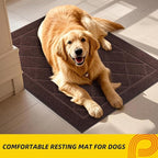 JSEI Dirt Trapper Door Mat 36"x60", Non-Slip Washable Entryway Mats, Dog Door Mat, Stain Resistant and Absorbent Floor Mats, Low Profile Welcome Mat for Front Back Door, Brown