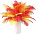 THARAHT Red Orange Yellow Ostrich Feathers 24pcs Natural Bulk 8-10Inch 20cm-25cm for Crafts Wedding Party Centerpieces Halloween and Home Decoration Feathers
