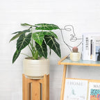 10 Inch Ceramic Plant Pot with Drainage – Large Flower Pot for Indoor Outdoor Plants, Modern Decorative Planter for Patio, Balcony, Garden, or Home Decor