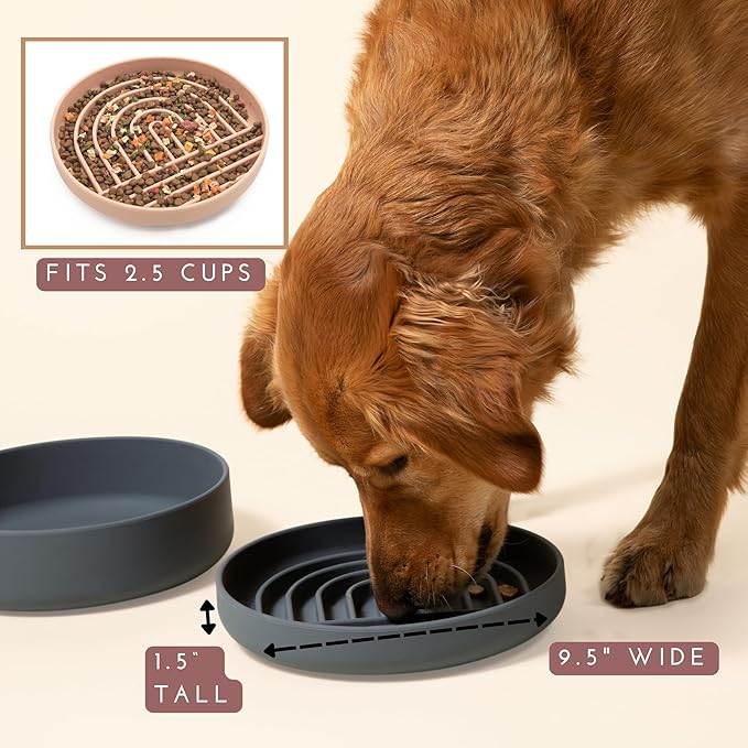 The Slowdown Bowl Silicone Slow Feeder for Dogs & Puppies, Slow Eating Modern Lick Mat Design Reduces Gulping, Fits 2.5 Cups 9.5” Across x 1.5” Tall, Mealtime Challenge, Large-Charcoal