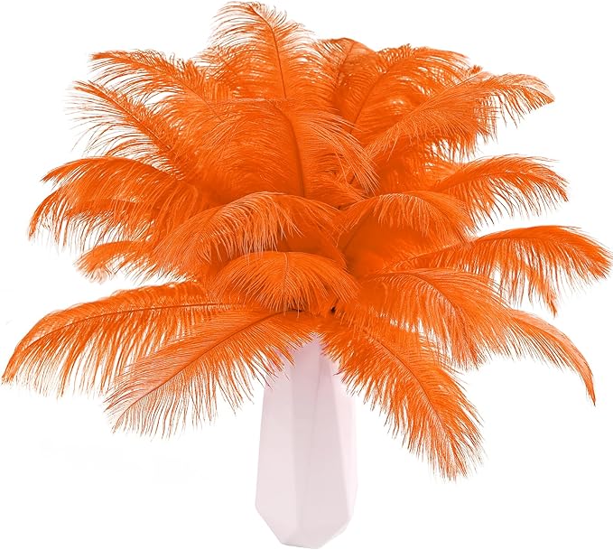 THARAHT Orange Ostrich Feathers 12pcs Natural Bulk 10-12Inch 25cm-30cm for Crafts Wedding Party Centerpieces Halloween and Home Decoration Feathers