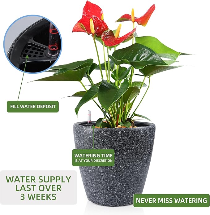 Dexceder 13x12 Self Watering Planter with Wheels Indoor Outdoor, Inner Pot Design, Thickened Large Floor Standing Flower Plant Pot with Water Level Indicator (Stone Matte)