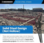 Sandbaggy Round Steel Concrete Form Stakes with Nail Holes - Rust Resistant Coating - Removable, Reusable (5, 3/4 in X 24 in)