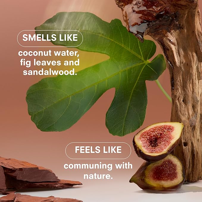 Boy Smells - Woodphoria Scented Candles for Men and Women - 8.5 oz - Soy, Coconut Wax Candle Blend - Aromatic Candles for Home with Fig, Sandalwood and Jasmine - 50-Hour Burn - Cotton Wick