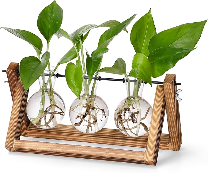 YIBOT Plants Propagation Stations,Desk Plant Terrarium with Retro Wooden Stand,Plant Lover Gifts for Women for Hydroponics Plants Home Garden Wedding Decor(3 Bulb Vase)