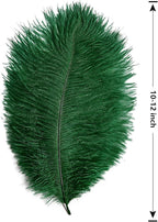 THARAHT Blackish Green Ostrich Feathers 12pcs Natural Bulk 10-12Inch 25cm-30cm for Crafts Wedding Party Centerpieces Mardi Gras Decoration Feather