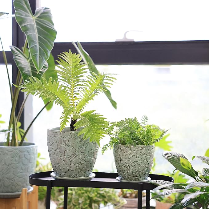 8 Inch + 6 Inch Plant Pots for Indoor Plants, Ceramic Planter with Drainage Hole and Saucers, Garden Pots for Succulent, Orchid, and Flower, Set of 2