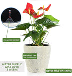 Dexceder 18x17 Self Watering Planter with Wheels Indoor Outdoor, Inner Pot Design, Thickened Large Floor Standing Flower Plant Pot with Water Level Indicator (White Gold Crackle)