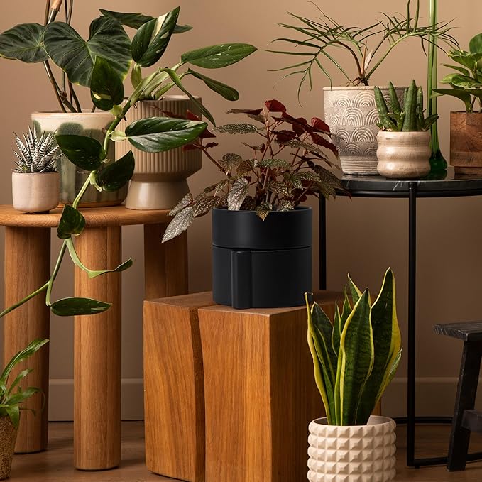 Phoenix Vine 6.5 Inch Self-Watering Planter Pot with Terracotta Insert, Deep Water Reservoir, and Ceramic-Alike BPA-Free Plastic Planter Pot for Plant, Modern Planter for Houseplants, Black, 53-A-S-2