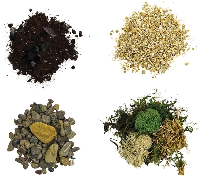 Cute Farms Terrarium Starter Kit | Moss, Vermiculite, Soil, Pebbles, Plant Food, & Finishing Tools (Large + 8 Live Plants)