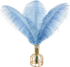 THARAHT Baby Blue Ostrich Feathers 12pcs Large Natural Bulk 12-14Inch 30cm-35cm for Wedding Party Centerpieces Easter Gatsbi and Home Decoration Feathers