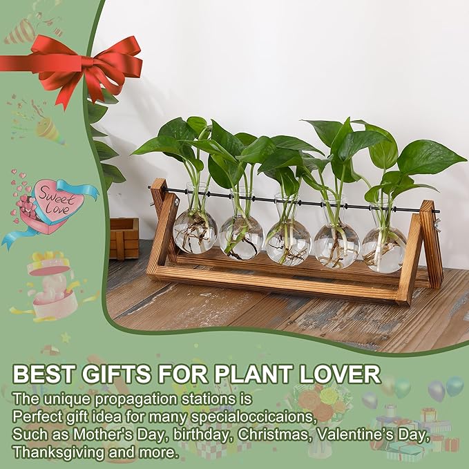 YIBOT Propagation Stations,Plant Terrarium with Wooden Stand,Plant Lover Gifts for Women for Hydroponics Plants Home Garden Wedding Decor(5 Bulb Vase)