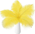 THARAHT Yellow Ostrich Feathers 24pcs Natural Bulk 10-12Inch 25cm-30cm for Crafts Wedding Party Centerpieces Halloween and Home Decoration Feathers