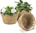 Athaliah Plant Basket Set of 3, Indoor Woven Planter Baskets with Plastic Liner, Water Hyacinth and Corn Husk Decorative Pots for Rustic Home & Floor Plant Decor (Natural Color-3)