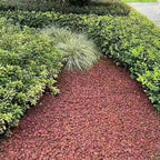 5LB Succulent and Cactus Gravel Pebbles, 1/5 Inch Natural Decorative Polished Stones, River Rocks for Vases Gardening Indoor and Outdoor Decorative Rocks, Red