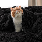 Bedsure GentleSoft Fluffy Black Throw Blanket Gifts for Men, Black Decor Soft Cozy Fuzzy Plush Minky Thick Warm Sherpa Fleece Faux Fur Throws for Couch Bed, Furry Blanket Gifts for Mom Dad, 50x60