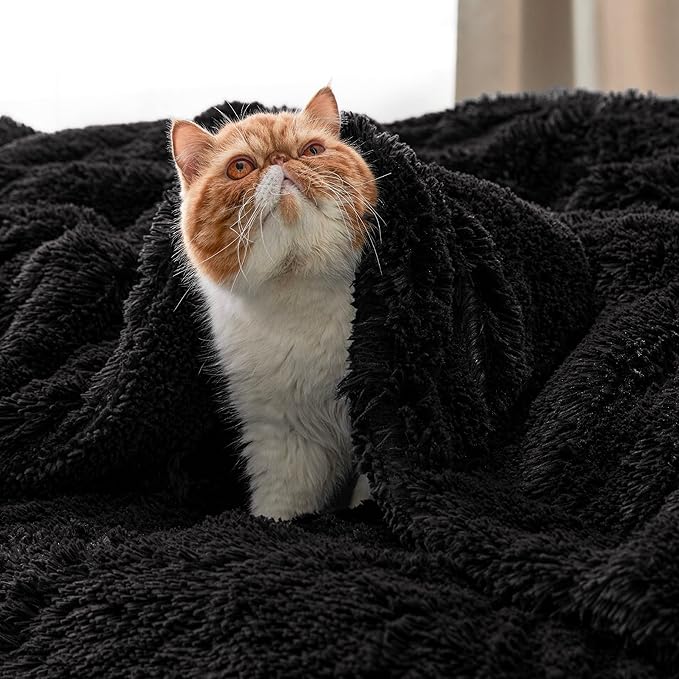 Bedsure GentleSoft Fluffy Black Blankets Queen Size for Bed, Thick Sherpa Faux Fur Fleece Fuzzy Plush Winter Warm Soft Full Queen Blankets, Bedroom Decor Black Gifts Cozy Gifts for Women Men, 90x90