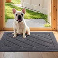 JSEI Dirt Trapper Door Mat 20"x32", Non-Slip Washable Entryway Mats, Dog Door Mat, Stain Resistant and Absorbent Floor Mats, Low Profile Welcome Mat for Front Back Door, Dark Grey
