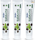 Sri Sri Tattva Sudanta Charcoal Toothpaste Gel – SLS, Fluoride Free Herbal Toothpaste with Neem & Ayurvedic Herbs – Natural Teeth Whitening, Fresh Breath, Oral & Gum Health – 100g Tube (Pack of 3)