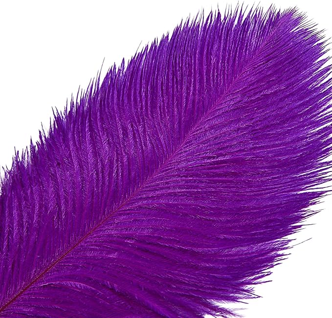 THARAHT Purple Ostrich Feathers 12pcs Large Natural Bulk 12-14Inch 30cm-35cm for Wedding Party Centerpieces Halloween and Decoration Feather