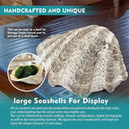 Large Mud Gray Clam Shells Decorative Bowl,Weathered style ClamShell Bowl Beach Decorations for Home Coastal Beach Decor Decoration Storage Bowls & Home Office Nautical Themed Party Decor -10.2"-1PC