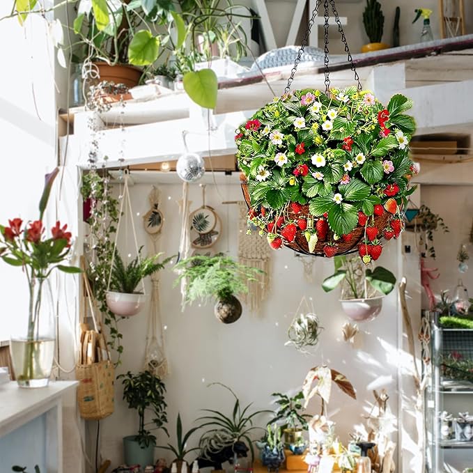 Hanging Baskets for Plants Outdoor(12 inch 4 Pack)- Coconut Coir Hanging Planters Outdoor,Metal Wire Baskets with Coco Liner, Hanging Pots for Plants Indoor, Flower Pots for Railings