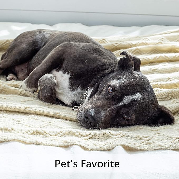 MIULEE Knitted Beige Throw Blanket Soft Sofa Knit Blanket for Couch 50 x 60 Inches, Solid Cozy Lightweight Wave Pattern Decorative Blankets with Tassels for Women, Kids and Babys