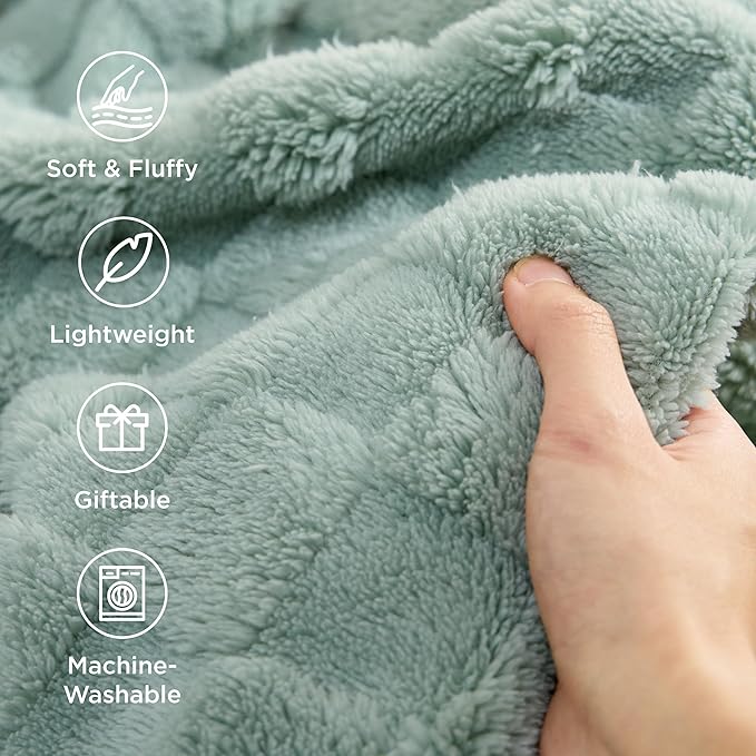 Bedsure GentleSoft Blankets Queen Size for Bed - Super Soft Cozy Blanket for Women Men Girls, Large Fuzzy Fleece Throw for Bedroom Decor, Sage Green, 90x90 Inches