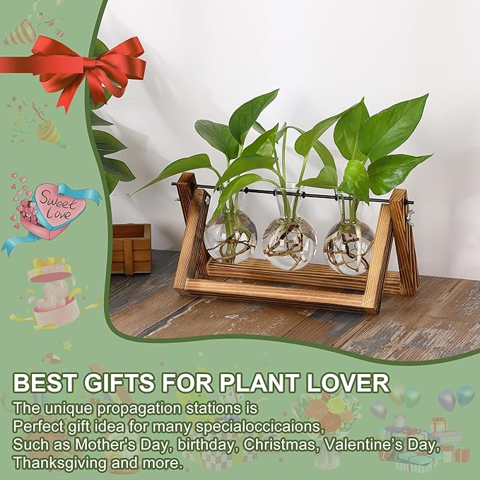 YIBOT Plants Propagation Stations,Desk Plant Terrarium with Retro Wooden Stand,Plant Lover Gifts for Women for Hydroponics Plants Home Garden Wedding Decor(3 Bulb Vase)