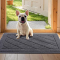 JSEI Dirt Trapper Door Mat 24"x36", Non-Slip Washable Entryway Mats, Dog Door Mat, Stain Resistant and Absorbent Floor Mats, Low Profile Welcome Mat for Front Back Door, Dark Grey
