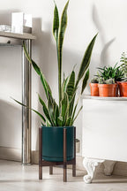 D'vine Dev Ceramic Planter with Walnut Color Stand - 10 Inch Modern Round Flower Pot with Wood Planter Holder, Teal, 55-B-X-4