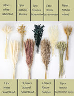 126pcs Dried Pampas Grass Decorations, Dried Flowers, Dried Bouquet in Vase, Reed Grass Bouquet for Boho Floral Wedding, Rustic Farmhouse Decor. (Vase Not Included)